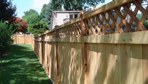 cedar