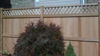 fence