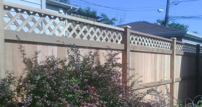 cedar fence